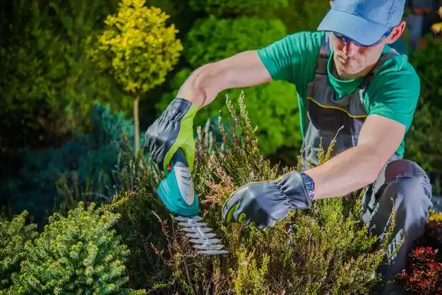 landscaping services Pewamo